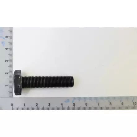 SCHEPPACH-Vis-pour-lame-de-tondeuse-5911240001