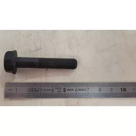 SCHEPPACH - Vis hexagonale pour lame de tondeuse 24G 3/16 7/32 SW16