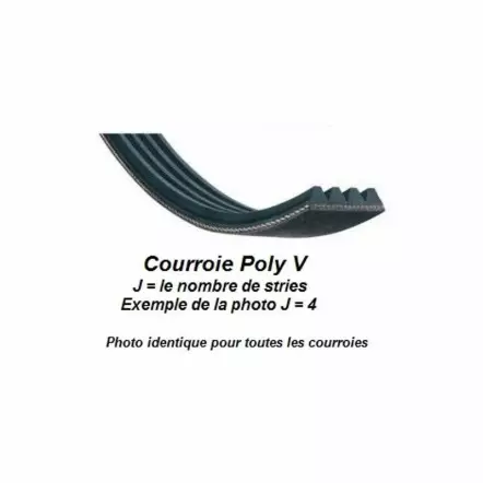 SCHEPPACH - Courroie PJ 353 11,5x3 pour compresseur Scheppach, Woodster