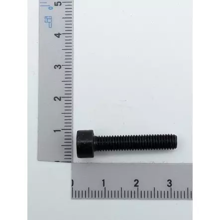SCHEPPACH - Vis d'arrêt à tête cylindrique M5 x 25 mm pour scie à chantourner DECO-FLEX et Parkside PDS 120 A1