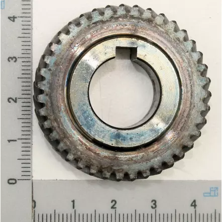 SCHEPPACH - Pignon pour scie à onglet radiale HM216 et HM81LXU