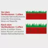 SCHEPPACH-SC38-Scarificateur-electrique-1600-W-Diametre-38-cm-5912007901-6
