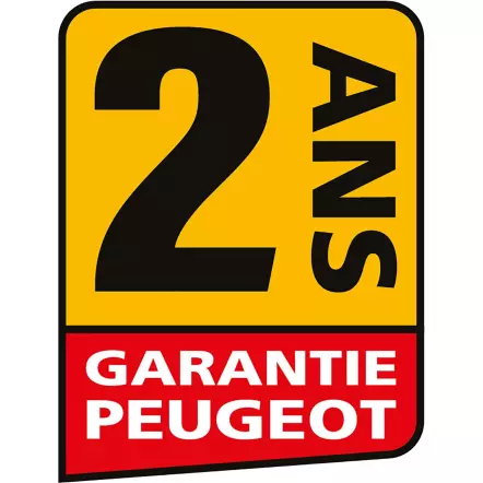 PEUGEOT-ENERGYGRIND-200-Aiguiseuse-a-eau-meule-a-morfile-4