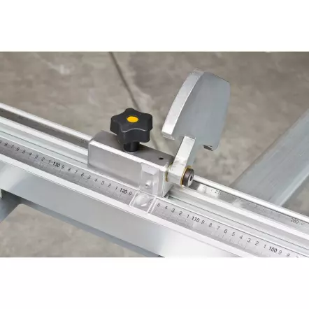 HOLZMANN - FKS315VFN3200 Scie à format Professionnelle ø315mm avec inciseur ø120mm chariot 3200x375mm - 400V 5,5kW (S1)