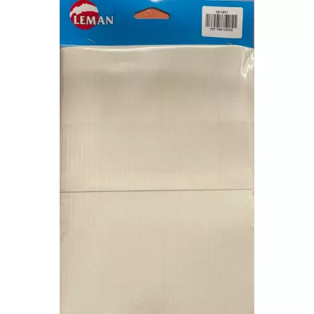 LEMAN - Sac d'aspiration papier 0,5µ (5 pcs) pour LOASP050