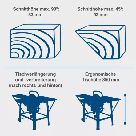 SCHEPPACH-TS310-Scie-circulaire-2200-W-avec-chariot-rallonges-AR-et-2-lames-o-315mm-24-et-48-dents-coupe-max-83-mm-4901-7