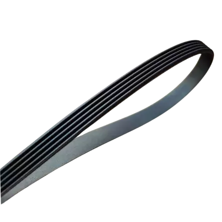 Courroies striees poly-v 2