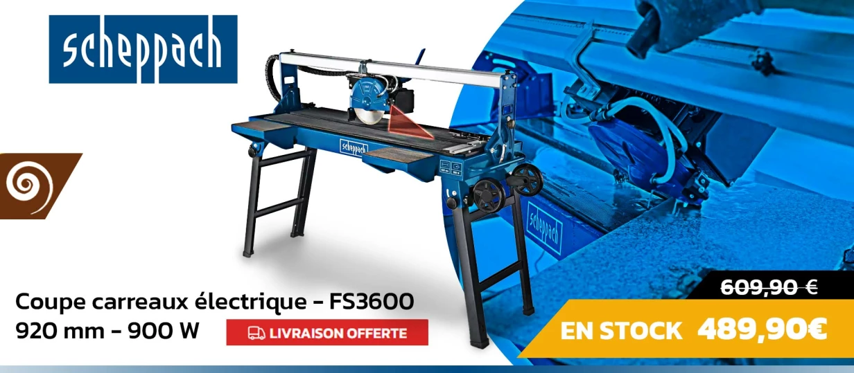 FS3600
