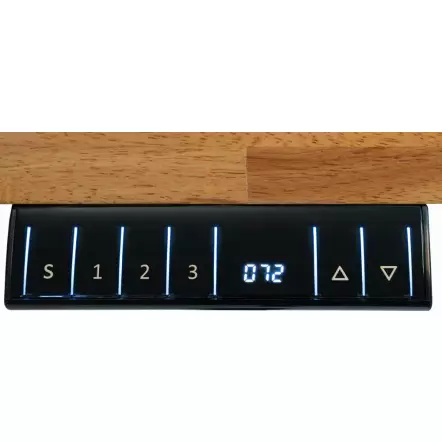 WB210ELIFT - Établi réglable en hauteur électrique 1885 mm - Charge 70 Kg