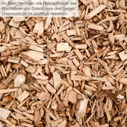 GS60 - Broyeur Electrique de Jardin 2800 W - Diamètre de coupe max. 45 mm