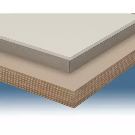 PEB250+ EVOLUTION - Plaqueuse de chants portative à bac à colle 830 W 120-200°c - Hauteur du chant 10 - 62 mm