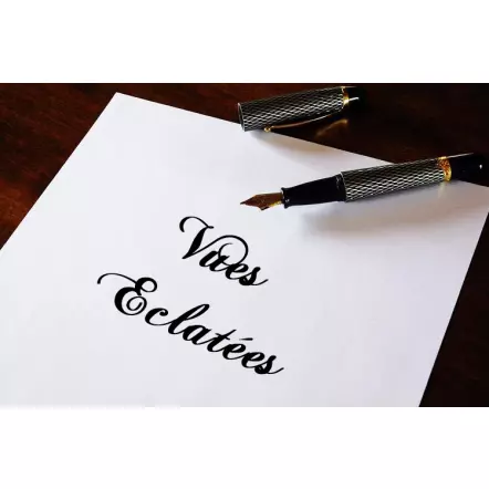 Vue éclatée MS305DB