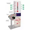 CORMAK - FM230 - Aspirateur à Sciure de bois - Débit 1000 m³/h - Puissance 750 W - 60 Litres - 3