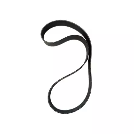 Courroie plate 430x15 mm Es-band pour Kity Junior 1 et Kity Woodster 1