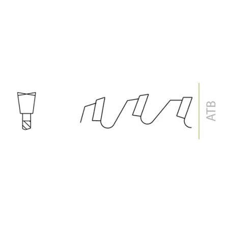 La-Forezienne-Lame-de-scie-carbure-Diam-220-X-24-Dents-X