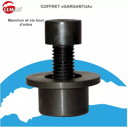 LEMAN - COFFRET 3 P.O. AL.30 ET ACCESSOIRES / PROFIL C.P. TENON / POUR COMBINE