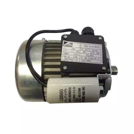 Moteur pour scie 419 / Woodster 4