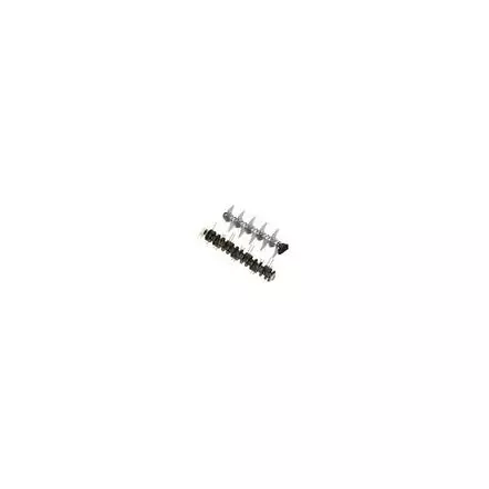 Einhell - scarificateur thermique GC-SA 1335P
