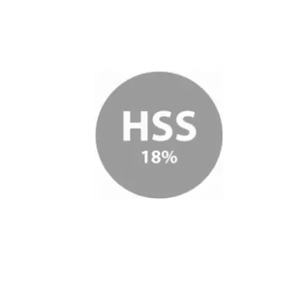 Fer de dégauchisseuse réaffutable HSS 18% de carbure en 260 x 20 x 2.5 mm Leman (vendu à l'unité)