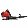 SCHEPPACH-LB5200BP-Souffleur-Thermique-Dorsal-7-9-Kg-5911103903