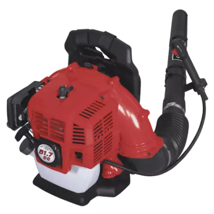 SCHEPPACH-LB5200BP-Souffleur-Thermique-Dorsal-7-9-Kg-5911103903-4