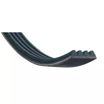 SCHEPPACH - Courroie Poly-V 7PJ336 pour KITY MST 254